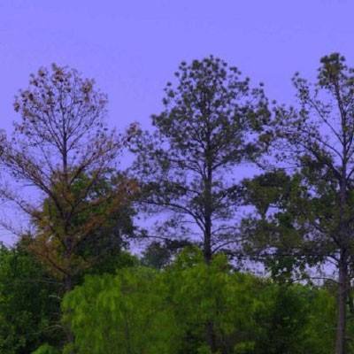 风暴幻想百度最新版下载