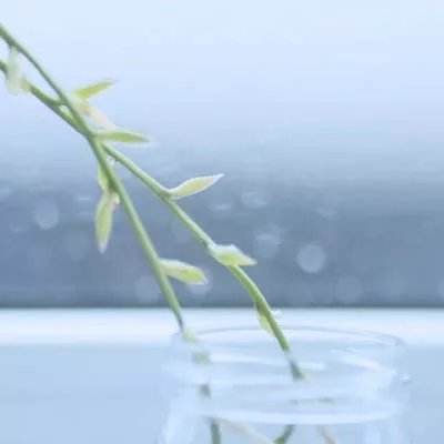 反向池游戏下载